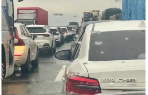 穷人买电车还是买油车(不买车的都是聪明人)