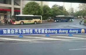 四川小熊猫遭遇意外，疑被车辆撞倒路中，呼唤社会关注