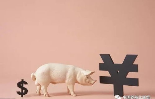 动物园变身全国模范养猪基地,笑谈背后的故事与真相