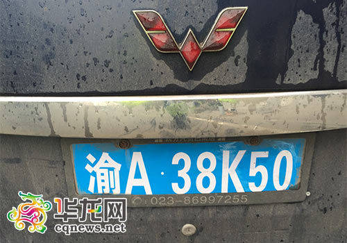 凭车牌号查违章(车牌号查违章记录)