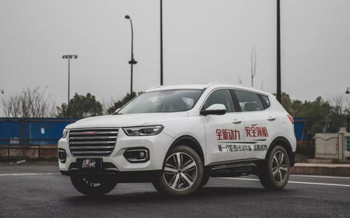 哈弗h6论坛(哈弗h6论坛车友会)