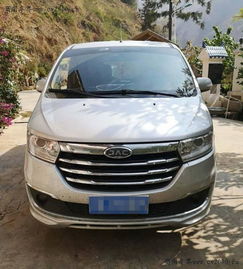 买v260的十大忠告(口碑最好的七座商务车)