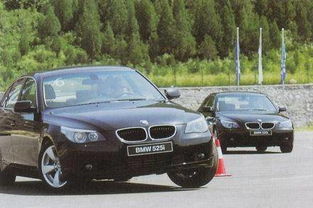 bmw525(bmw525i)