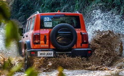 长城900越野车价格(长城300越野车价格) 长城900越野车价格(长城300越野车价格)