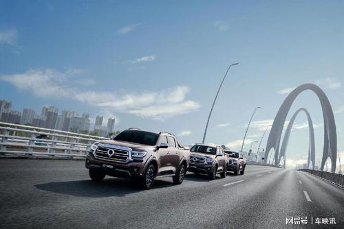 长城汽车长城炮皮卡价格(长城皮卡长城炮多少钱)