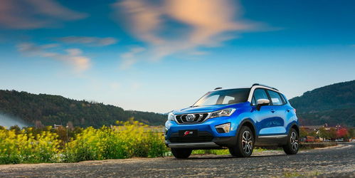 福特女款小型车(福特最小的两厢车) 福特女款小型车(福特最小的两厢车)