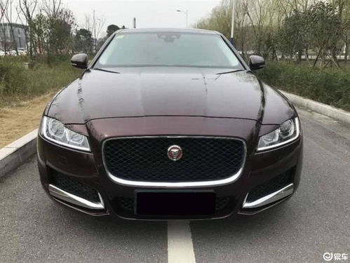 捷豹(捷豹xfl) 捷豹(捷豹xfl)