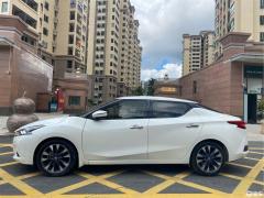 东风日产蓝鸟图片(东风日产蓝鸟图片及报价)