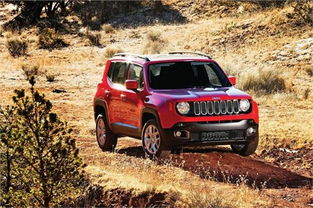 jeep汽车官网(jeep汽车官网网站)