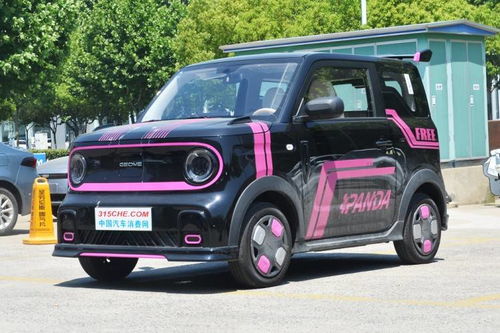 吉利熊猫mini2024款(吉利熊猫mini2024款续航测试)