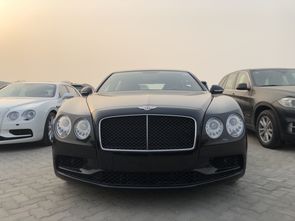 最贵的宾利2亿(开宾利一般什么档次人) 最贵的宾利2亿(开宾利一般什么档次人)