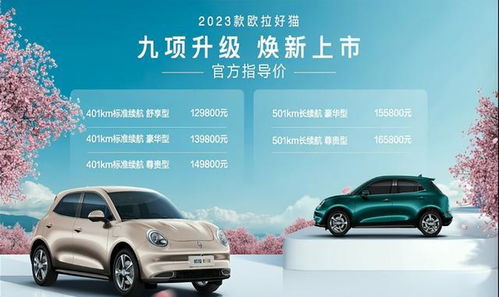 车价格大全查询2023(车价格大全查询2023图片) 车价格大全查询2023(车价格大全查询2023图片)