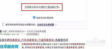 全国违章车辆查询官网(全国违章在线查询)