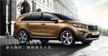 起亚汽车官网(起亚汽车官网首页) 起亚汽车官网(起亚汽车官网首页)