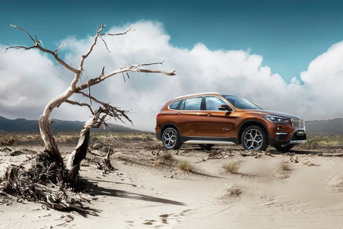 2023年最建议买的suv车(2023年最建议买的suv车途观)