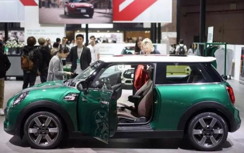 开宝马mini的女孩都是什么人(女生开什么车显得高贵)