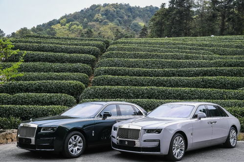 劳斯莱斯预约试驾(劳斯莱斯预约试驾官网)