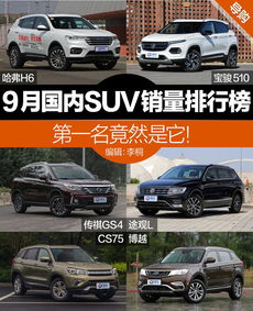 全国suv销量前十名(全国suv销量前十名省油)