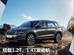 斯柯达柯珞克(斯柯达柯珞克有手机互联功能吗)