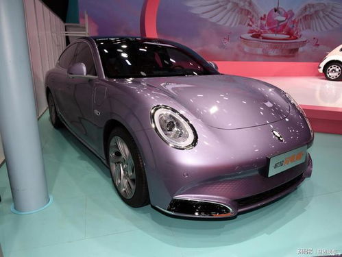 欧拉闪电猫(欧拉闪电猫图片)