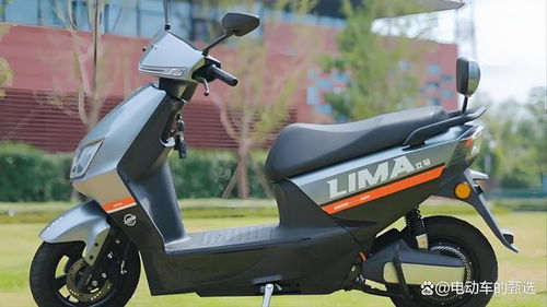 十大杂牌电动车(十大杂牌电动车排名)