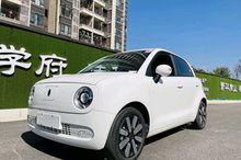 欧拉黑猫2021款价格(欧拉黑猫2021款价格二手车)