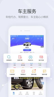 在线交通违章查询(官方交通违章查询app)