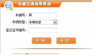 在线查违章车辆查询(在线查违章车辆查询非本人)