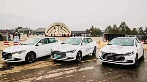 比亚迪试驾(比亚迪试驾车可以买吗)