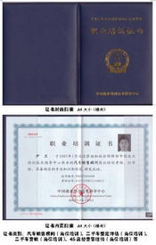 评估二手车(评估二手车证明怎么写)