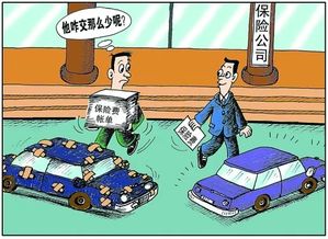 车险必买的三种险一共多少钱(老司机只买三种保险) 车险必买的三种险一共多少钱(老司机只买三种保险)