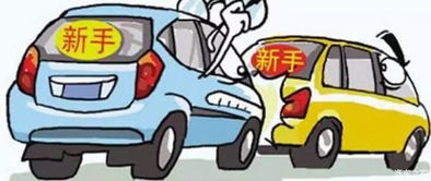 新手上路怎么练胆子(新手上路怎么练胆子起步刹车必须踩到底吗)