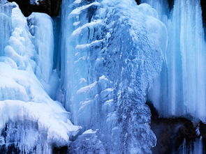 长沙雪舞,一场冬日的浪漫之旅 长沙雪舞,一场冬日的浪漫之旅