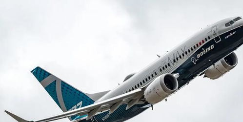 波音737-800机型事故，韩国与荷兰的共同遭遇