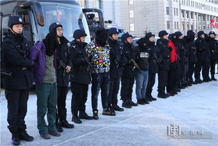 武汉高启强涉黑组织被警方成功打掉