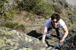 高叶的非凡之旅，如何身着钢笔攀登至高峰