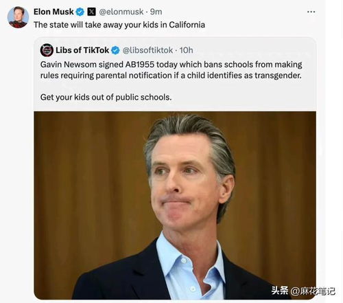 揭穿马斯克谎言的加州州长,真相与责任的力量 揭穿马斯克谎言的加州州长,真相与责任的力量