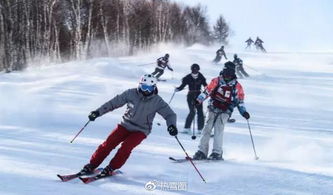 成都人的独特体验，在家看雪山的奇妙之旅