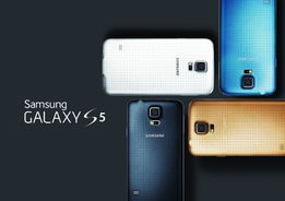 三星S5368报价及市场定位分析 三星S5368报价及市场定位分析