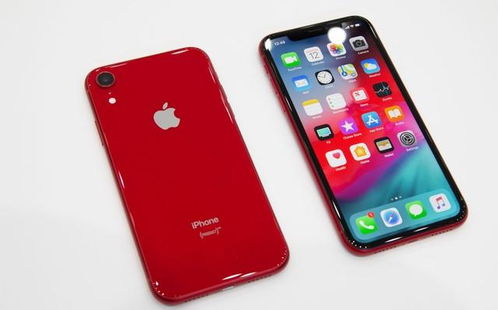 苹果XR售价，市场变化与消费者考量