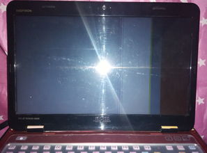 电脑屏幕受撞击后花屏了（电脑屏幕受撞击后花屏了 里面文件有影响吗）