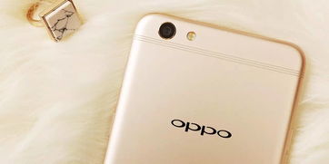 oppo手机型号大全图片及价格（oppo手机型号大全图片及价格2012年产品）
