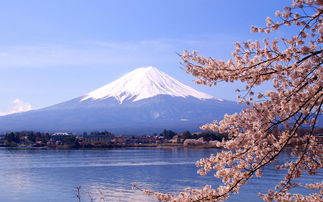 富士苹果和富士山有关系吗（富士苹果和富士山有关系吗知乎）