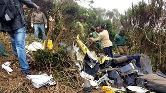 坦桑尼亚一架飞机坠毁（一架飞机在塞尔维亚坠毁）