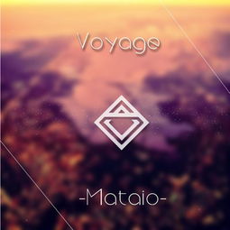 voyage（voyager）