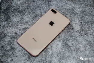 苹果iphone14（苹果iphone14promax尺寸）