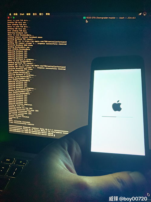 iphone5s任意版本降级（苹果5s可以降低版本吗）