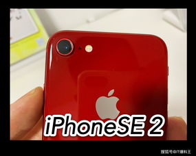 iphonese2和iphone8（iphonese2和iphone8钢化膜一样吗）
