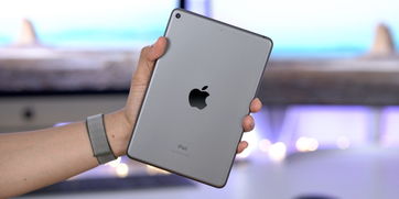 苹果ipadmini5（苹果iPadmini5）