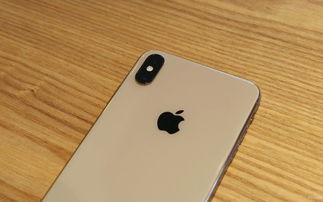 苹果系列手机型号大全及价格（苹果手机最新款型号和图片及价格）